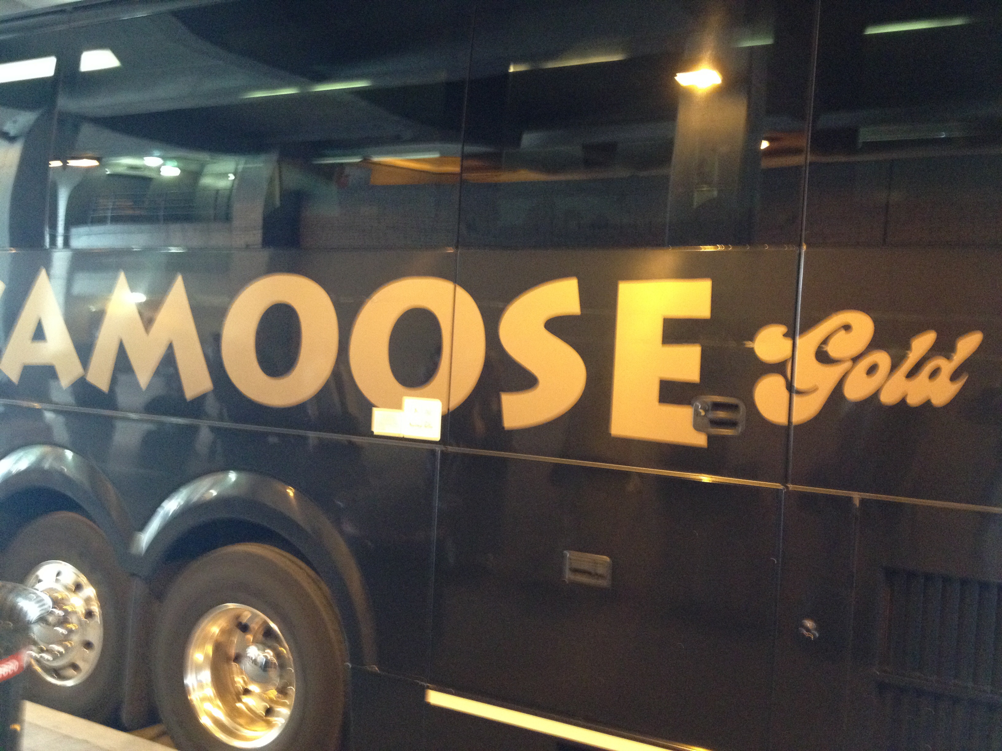 Vamoose Bus