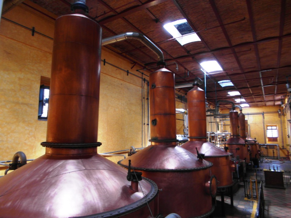 Jose Cuervo La Rojena distillery