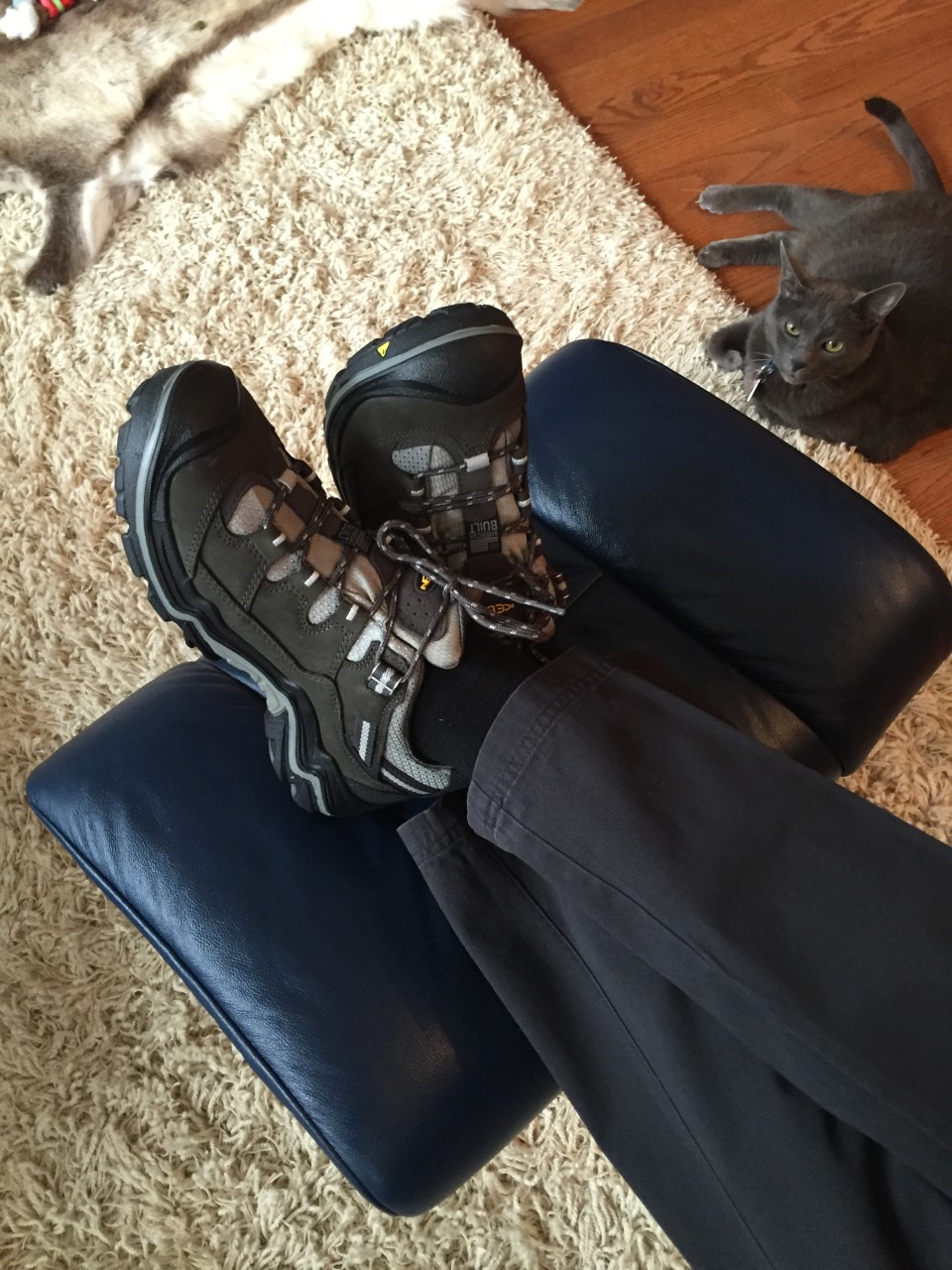 Travel Essentials for the frequent world traveler : Our cat Beaudelaire (Beau for short) admiring my Keen waterproof hiking shoes