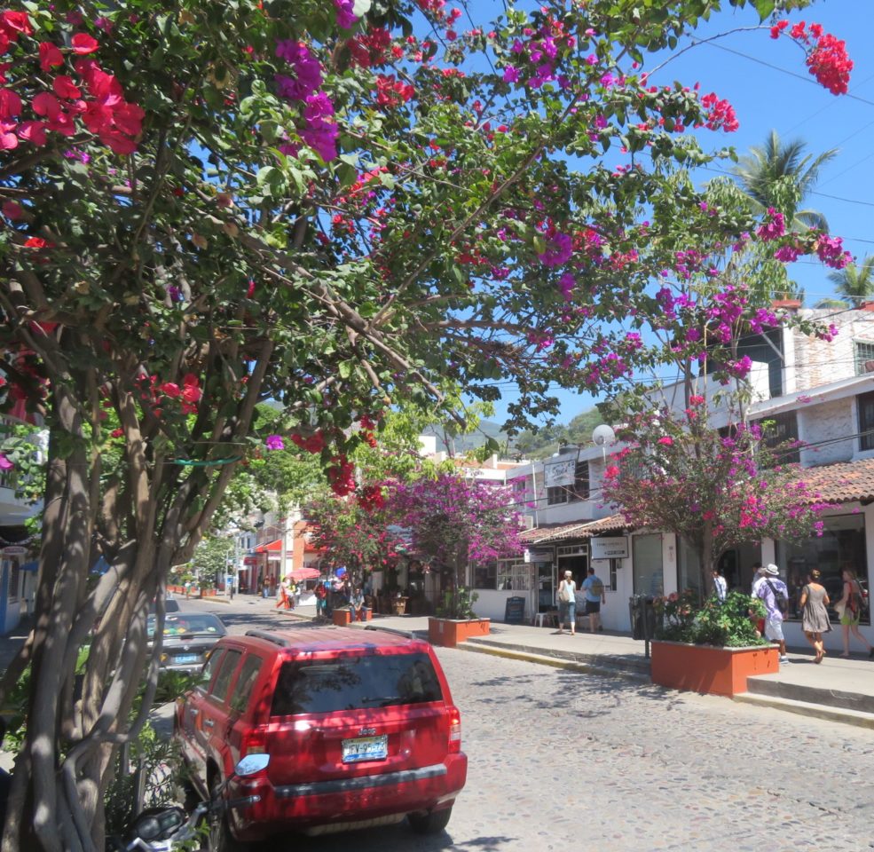 Walking the streets of Old Puerto Vallarta