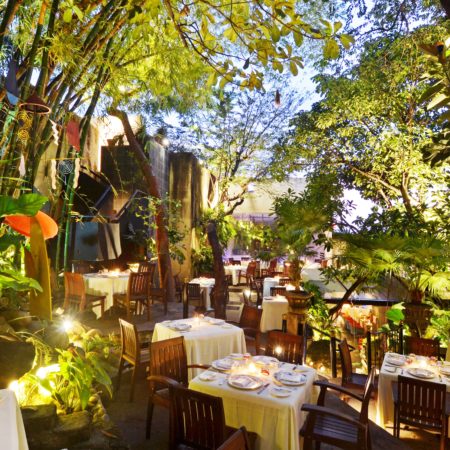 Puerto Vallarta Favorite Experiences : Cafe Des Artistes - Jardin
