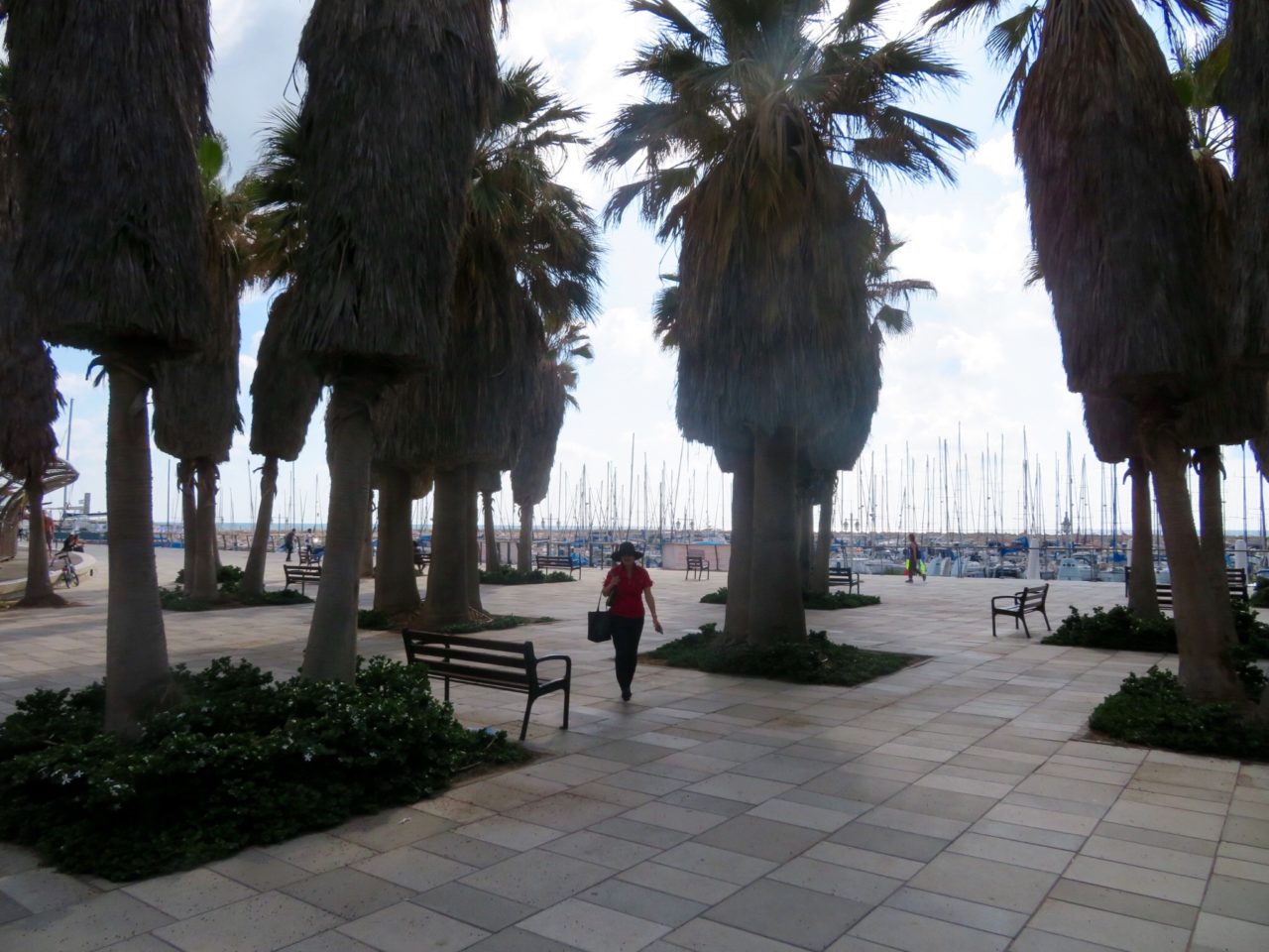 Tel Aviv Beach : Lynn walking along the gorgeous Tel Aviv Marina