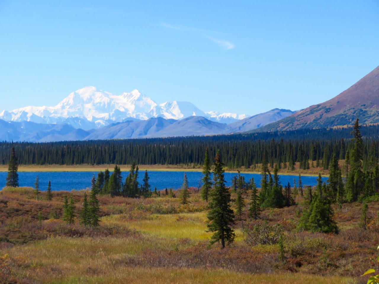 View of Denali from Fairbanks to Achorage Highway ~ <em><strong>Alaska Cruise Tour</strong></em>
