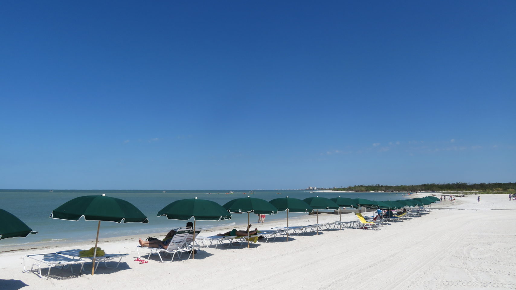 Pelican Landing Beach Park and Nature Preserve ~ Gem of a Florida Resort